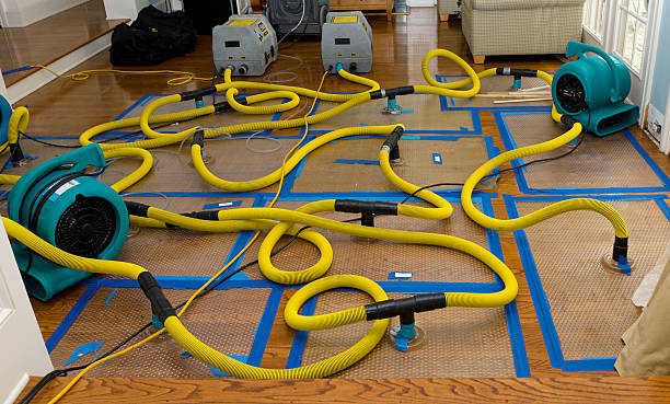 Professional Burst Pipe Water Damage technician working in Helena, AL